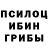 Галлюциногенные грибы GOLDEN TEACHER TA NUKi