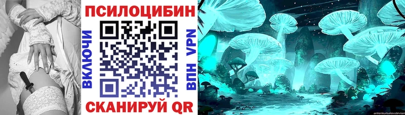 Псилоцибиновые грибы Psilocybe  где найти наркотики  Ялуторовск 