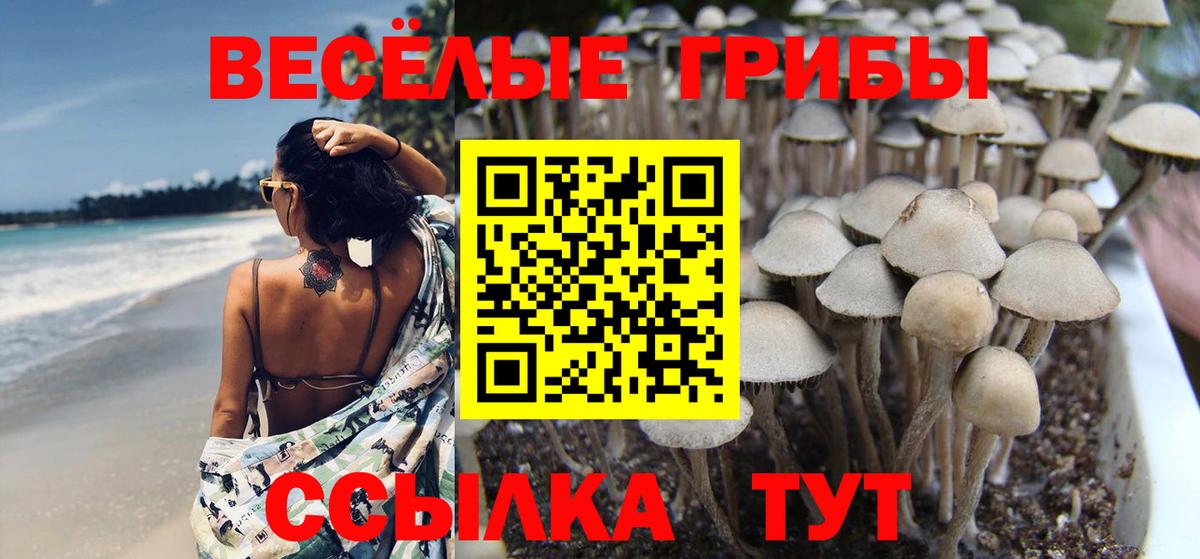 Галлюциногенные грибы мицелий Ялуторовск