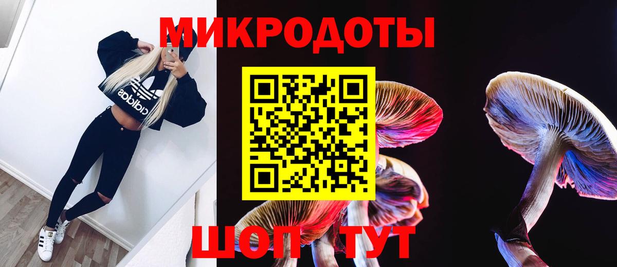 Ялуторовск  Галлюциногенные грибы Cubensis  Вход с VPN 